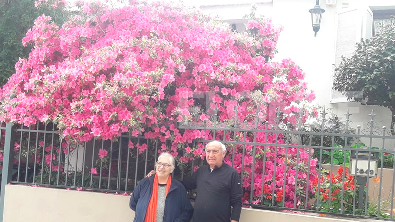 Azalea gigante deslumbra y embellece a Paraná: Fue plantada hace 30 años -  Radio Genesis